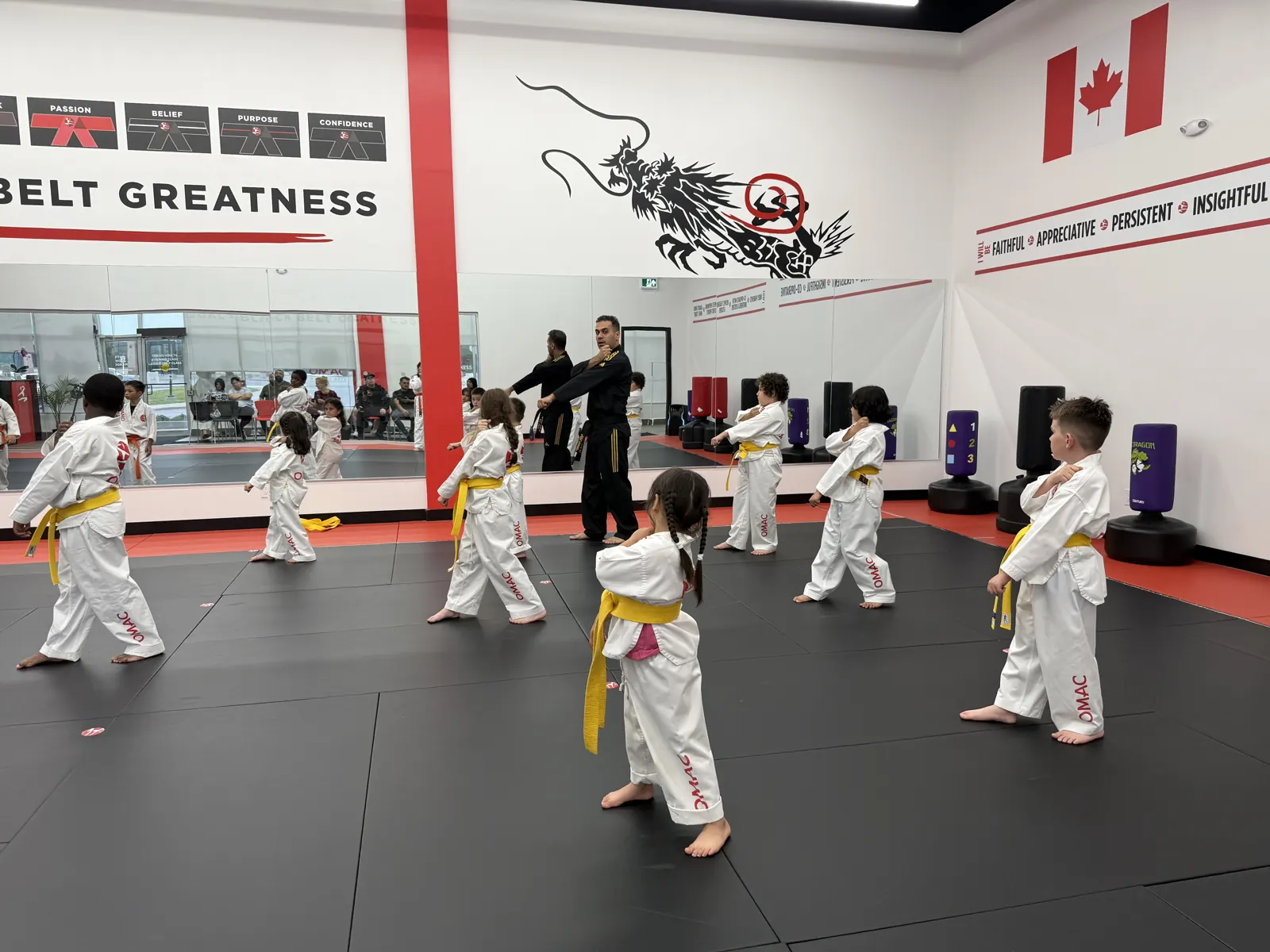 The red and black training mats